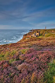 Mining: 80200587 Seascape - with Heather Levant Mine, Cornwall