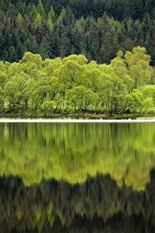 Loch: 80200588 Loch Ruthven - trees reflected in water