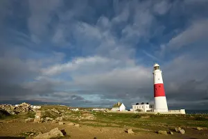 Dorset: 80200637 Portland Bill Lighthouse Dorset, UK David