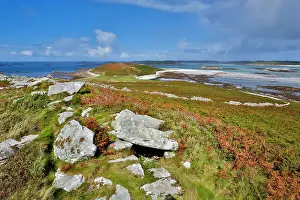 Chapman: 80200689 Samson Isles of Scilly, UK David Chapman