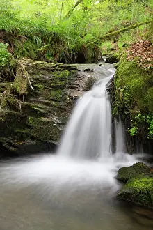 Cornish: 80200738 Stara Woods Waterfall Cornwall, UK David