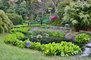 Cornish: 80200764 Trebah Garden - with water feature in Spring