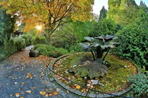 Cornish: 80200770 Trebah Garden - Autumn Cornwall, UK David