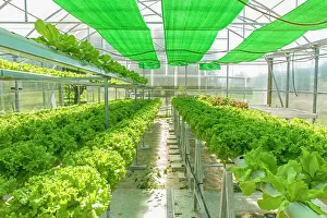 Cooperation: 80201035 Greenhouse Galicia, Spain Brais Seara Fernandez