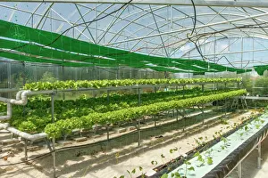 Cooperation: 80201038 Greenhouse Galicia, Spain Brais Seara Fernandez