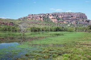 Billabong: 80201082 Nourlangie Rock and Anbangbang Billabong