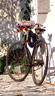 Bicycle: 80201385 Bicycle - with flowers and present leaning