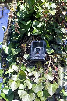 Private: 80202259 Surveillance Camera Haute Saone private