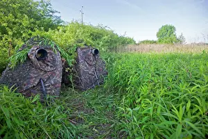Hide: 80202285 Photography Hide - in meadow and hedge