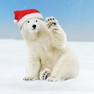 Waving: 80202506 Polar Bear - young bear waving wearing