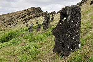 Moais: Abandoned Moais inside the caldera of Rano Raraku