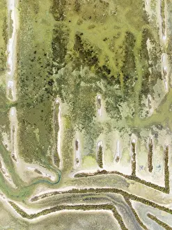 Saline: Abandoned saline ponds in the Bahía de Cádiz Nature Reserve