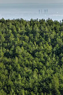 Copyspace: Abantos Mountain view of forest and Madrid covered