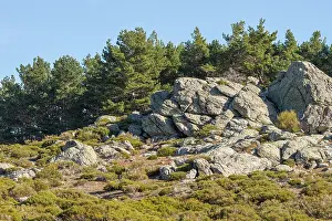 Abantos: Abantos Mountain view of rocks on top of mountain