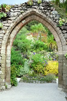 Tresco: Abbey Gardens - Tresco