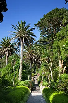Tresco: Abbey Gardens - Tresco
