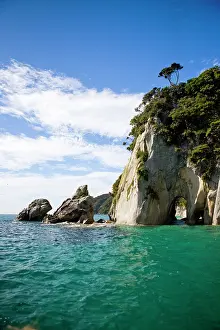 Shag: Able Tasman, New Zealand. Shag Harbor is
