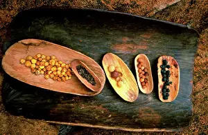 Tours: Aboriginal bush tucker in ^wira^