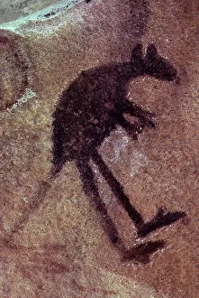 Aborigine: Aboriginal Kangaroo Cave Paintiing
