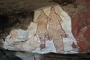 Elizabeth: Aboriginal Rock Art - Site on Mt Elizabeth Station