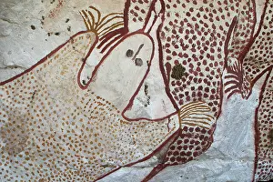 Elizabeth: Aboriginal Rock Art - At a site on Mt Elizabeth Station
