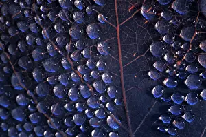 Unexplained: Abstract