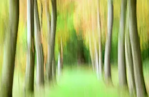 Unexplained: Abstract