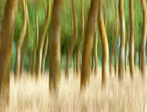 Unexplained: Abstract
