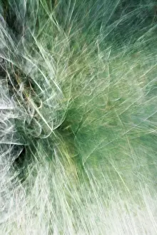 Explosion: Abstract