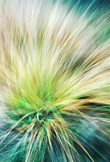 Explosion: Abstract