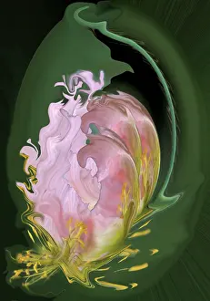 Ellen: Abstract flowers, digitally manipulated