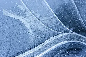 Crack: Abstract ice patterns
