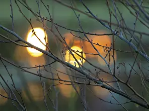 Reflections: An abstract image of the evening light reflecting on the surface of a lake