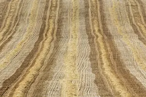 Abstracts: Abstract patterns in a cornfield after the wheat harvest