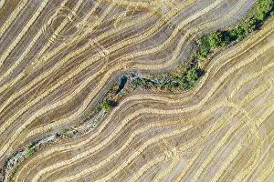 Cornfield: Abstract patterns in cornfield after wheat harvest