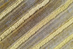 Cornfield: Abstract patterns in cornfield after wheat harvest