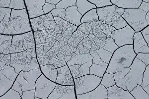 Cracked: Abstract patterns in cracked mud