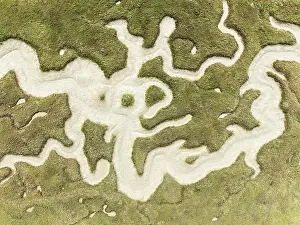 Meandering: Abstract patterns of dry streams at low tide