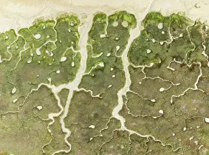 Meandering: Abstract patterns of dry streams at low tide