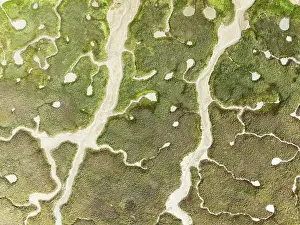 Meandering: Abstract patterns of dry streams at low tide