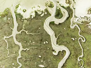 Meandering: Abstract patterns of dry streams at low tide
