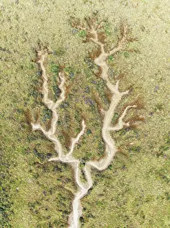 Meandering: Abstract patterns of dry streams at low tide