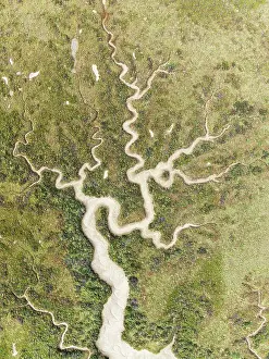 Meandering: Abstract patterns of dry streams at low tide