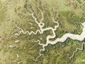 Meandering: Abstract patterns of dry streams at low tide