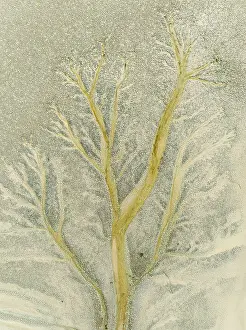 Tides: Abstract patterns at low tide in the marshland of the Nature Reserve La Breña y Marismas del Barbate