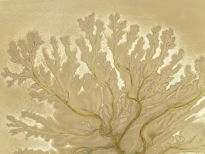 Tides: Abstract patterns at low tide in the marshland of the Nature Reserve La Breña y Marismas del Barbate