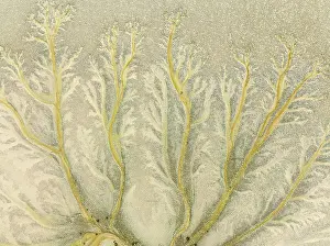 Tides: Abstract patterns at low tide in the marshland of the Nature Reserve La Breña y Marismas del Barbate