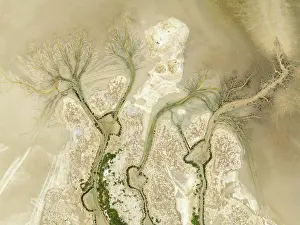 Tides: Abstract patterns at low tide in the marshland of the Nature Reserve La Breña y Marismas del Barbate