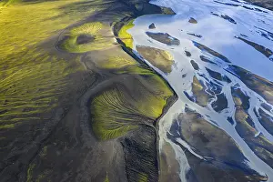 Mosses: Abstract patterns of moss in black sand