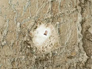 Salt Patterns: Abstract patterns of saline deposits at the salt works of Walvis Bay